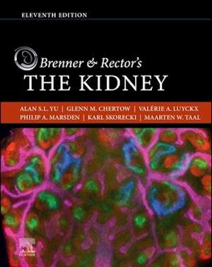 Brenner and Rector's The Kidney E-Book