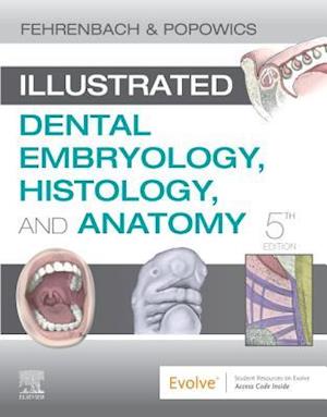 Illustrated Dental Embryology, Histology, and Anatomy