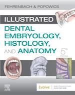 Illustrated Dental Embryology, Histology, and Anatomy E-Book