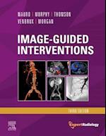 Image-Guided Interventions