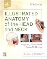 Illustrated Anatomy of the Head and Neck E-Book