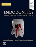 Endodontics