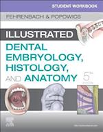 Student Workbook for Illustrated Dental Embryology, Histology and Anatomy E-Book