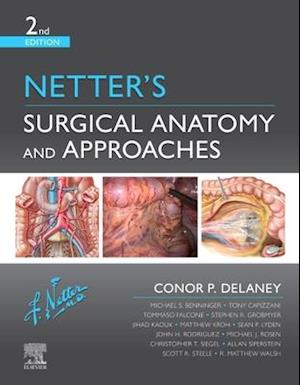 Netter's Surgical Anatomy and Approaches E-Book