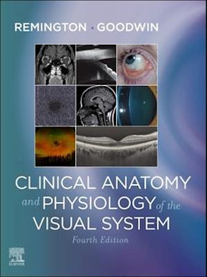 Clinical Anatomy and Physiology of the Visual System E-Book