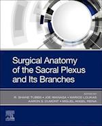 Surgical anatomy of the sacral plexus and its branches