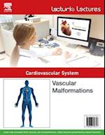 Lecturio Lectures - Cardiovascular System: Vascular Malformations