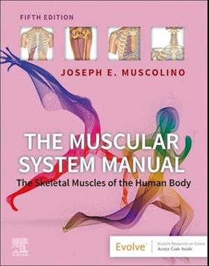 The Muscular System Manual