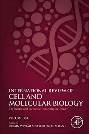 Chromatin and Genomic Instability in Cancer