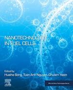 Nanotechnology in Fuel Cells