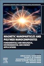 Magnetic Nanoparticles and Polymer Nanocomposites