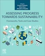 Assessing Progress Towards Sustainability