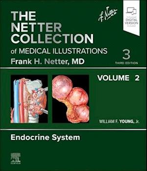 The Netter Collection of Medical Illustrations: Endocrine System, Volume 2