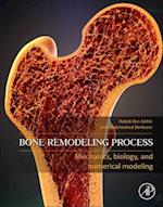 Bone Remodeling Process