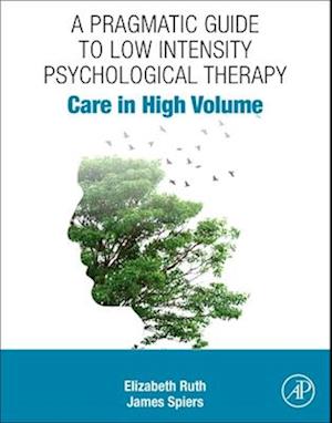 A Pragmatic Guide to Low Intensity Psychological Therapy