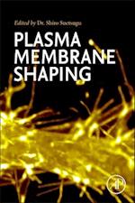 Plasma Membrane Shaping