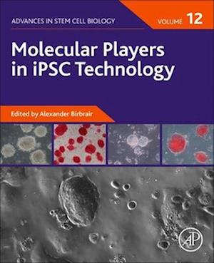 Molecular Players in iPSC Technology