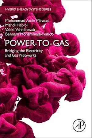 Power-to-Gas: Bridging the Electricity and Gas Networks