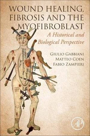 WOUND HEALING, FIBROSIS, AND THE MYOFIBROBLAST