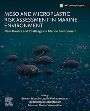 Meso and Microplastic Risk Assessment in Marine Environment