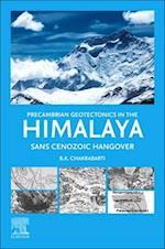 Precambrian Geotectonics in the Himalaya