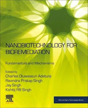 Nanobiotechnology for Bioremediation