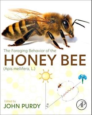 The Foraging Behavior of the Honey bee (Apis mellifera, L.)