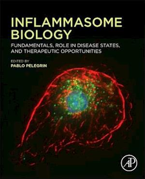 Inflammasome Biology