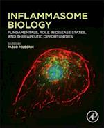 Inflammasome Biology