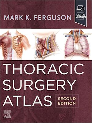 Thoracic Surgery Atlas