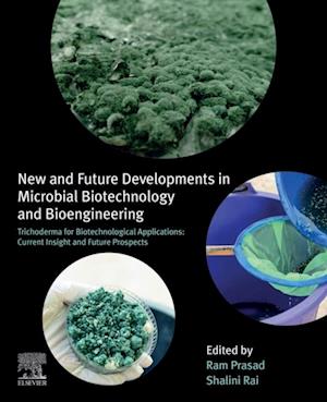 New and Future Developments in Microbial Biotechnology and Bioengineering