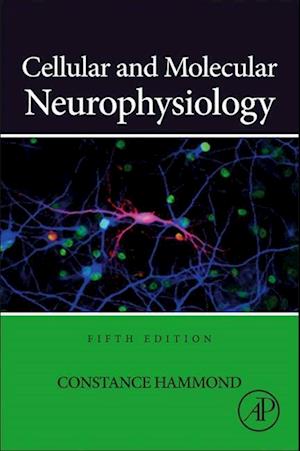 Cellular and Molecular Neurophysiology