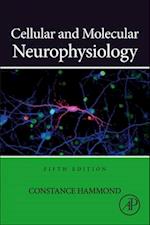 Cellular and Molecular Neurophysiology