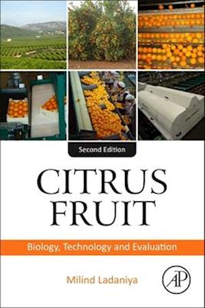 Citrus Fruit