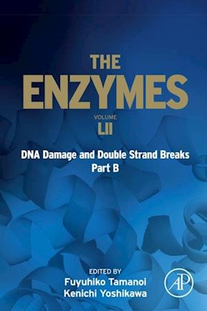 DNA Damage and Double Strand Breaks Part B