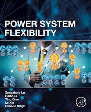 Power System Flexibility