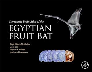 Stereotaxic Brain Atlas of the Egyptian Fruit Bat