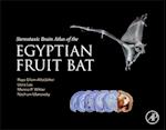 Stereotaxic Brain Atlas of the Egyptian Fruit Bat