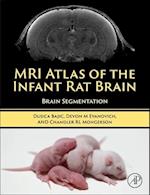 MRI Atlas of the Infant Rat Brain