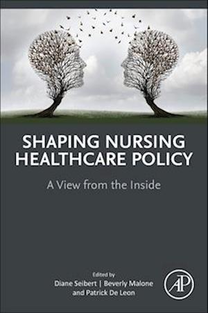 Shaping Nursing Healthcare Policy