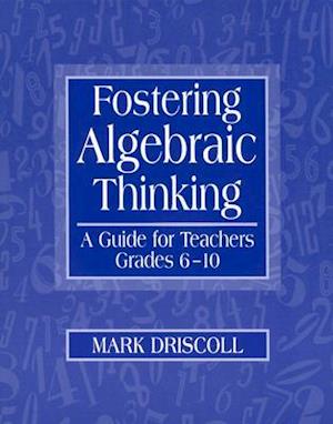 Fostering Algebraic Thinking