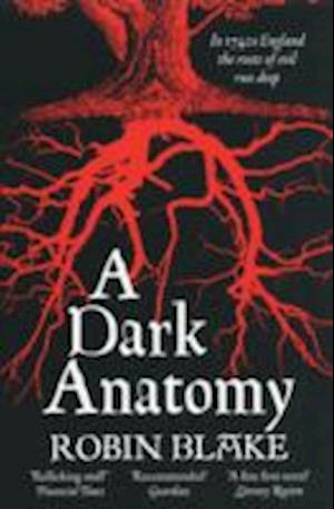 A Dark Anatomy