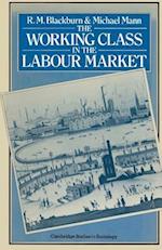 The Working Class in the Labour Market