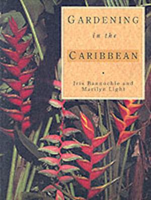 Gardening In The Caribbean