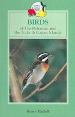 Birds of Bahamas and Turks & Caicos Islands