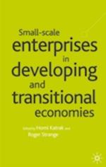 Small Scale Enterprises in Developing and Transitional Economies