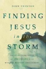 Finding Jesus in the Storm