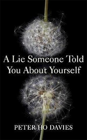 A Lie Someone Told You About Yourself