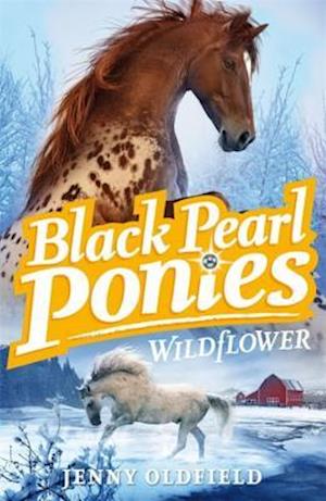 Black Pearl Ponies: Wildflower
