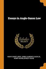 Essays in Anglo-Saxon Law